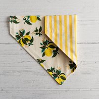Zitronenblüte/Gelbe Streifen Baumwolle Wendehalsband Hundehalstuch Neues Welpe Geschenk Hunde Accessoire Katzenhalstuch von HowlGear