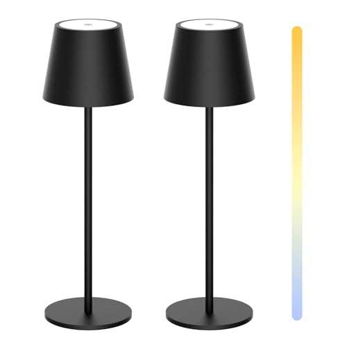 Howskys 2 Stück LED Kabellose Schreibtischlampe, 3 Farbtemperaturen dimmbare Schreibtischlampe, 5200mAh wiederaufladbare Akku Schreibtischlampe mit USB-C, Aluminium, IP54 Wasserdicht, Schwarz von Howskys