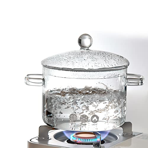 Hoypeyfiy Glas-Topf mit Deckel, transparenter Herdtopf mit zwei Griffen, Pfanne mit Deckel für Nudeln, Suppe, Milch, Babynahrung oder Erhitzen, 1,35 l/1,9 l (1,9 l) von Hoypeyfiy
