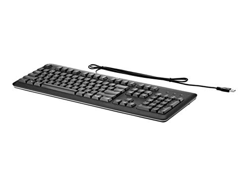 HP USB Keyboard - Slovakische Version (SK) von Hp Inc.