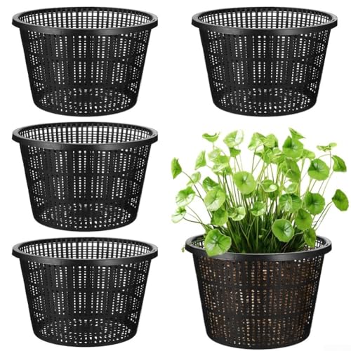 HpLive 5 Stück Hydroponische Netz-Töpfe 21cm Große Aquatische Pflanzenkörbe, Kunststoff Mesh-Behälter für Teichpflanzen Garten Orchideen HpLive 5 Stück Hydroponische Netz-Töpfe 21cm Große Aquatische Pflanzenkörbe, Kunststoff Mesh-Behälter für Teichpflanzen Garten Orchideen von HpLive