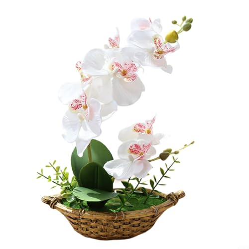 HpLive Künstliche Orchidee, Bonsai mit Topf, künstliche Phalaenopsis-Blume im Topf, für Zuhause, Garten, Dekoration, Bonsai (weiß) von HpLive