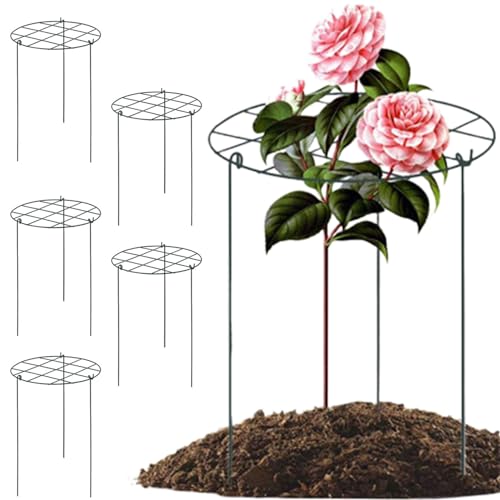 Hperu Peonies -Stützkäfige, 6 Pack -Pfingstrosenkäfige und Unterstützung von 35 x 45 cm Pflanzenkäfigen für Außenpflanzen Tomatenpflanze Stütze Pflanzenblätterstützringe für Rosen, Orchideen von Hperu