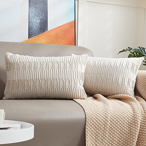 Hpocipo 2er Set 30 x 50 cm Kissenbezüge Samt Soft Moderne Kissenhüllen Dekorativ Zierkissenbezug Weicher Sofakissen Dekokissen für Wohnzimmer Sofa Schlafzimmer Dekor Beige von Hpocipo