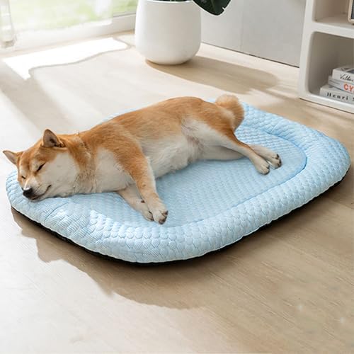 Hruile Kühlendes Sommerbett, waschbar, Matratze, erhöhter Rand, Haustier-Schlafmatte, atmungsaktive Haustiermatten für Katzen und kleine, mittelgroße Hunde mit rutschfester Unterseite, 55 x 40 x 4 cm Hruile Kühlendes Sommerbett, waschbar, Matratze, erhöhter Rand, Haustier-Schlafmatte, atmungsaktive Haustiermatten für Katzen und kleine, mittelgroße Hunde mit rutschfester Unterseite, 55 x 40 x 4 cm von Hruile