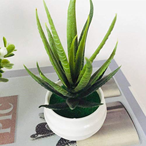 HshDUti Künstliche Pflanzen Mini Kunststoffpflanzen mit runder Vase für Büro Schreibtisch, Home Faux Kunststoff Grünpflanzen Fake Pflanze mit Kunststofftöpfen für Home Office Tischdekoration #1 von HshDUti