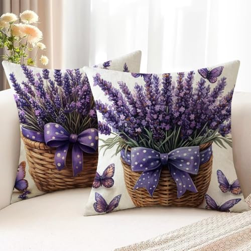 Outdoor Kissen Wetterfest Kissenbezüge 30x30 cm Schmetterling Kissenbezug Lavendel Dekokissen mit Unsichtbarem Reißverschluss Sofakissen für Sommer Garten Sofa Wohnzimmer Balkon Deko 2er Set H1-41 von Hsqpoobd