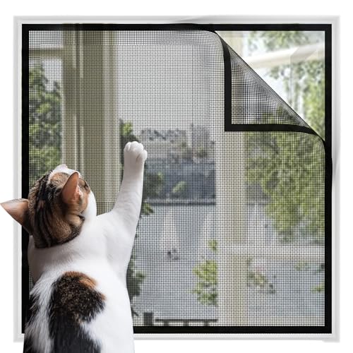 Fiberglas Fliegengitter Fenster, Katzensicher Katzengitter, Klettverschlusskanten, Verstärktes Mesh Insektenschutz Moskitonetz Fenster Hält Insekten/Fliegen/Mücken Fern mit Klebeband Fiberglas Fliegengitter Fenster, Katzensicher Katzengitter, Klettverschlusskanten, Verstärktes Mesh Insektenschutz Moskitonetz Fenster Hält Insekten/Fliegen/Mücken Fern mit Klebeband von Hsyan