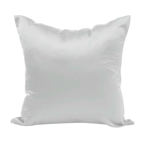 HtoxinDian 1 Stück Satin-Kissenbezug in Seidenoptik (40 x 40 cm) 45 x 45 50 x 50 (60 x 60 cm) solides, glattes Kissen für Sofa, Bett, Stuhl, Heimdekoration von HtoxinDian