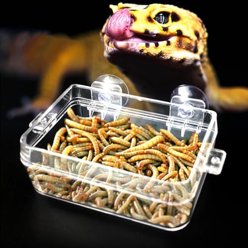 Huasean Reptilien-Futternapf, Reptilien-Futternapf, Chamäleon-Schüssel, Anti-Flucht-Futternapf, Schüssel mit Saugnapf, transparente Amphibien-Futternapf für Chamäleon, Leguan, Reptil von Huasean