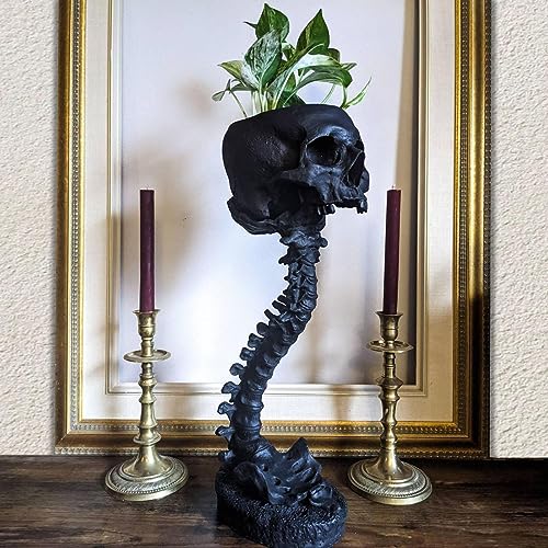 Huasean Totenkopf Mit Rückgrat, Pflanzentopf, Kunstharz, Totenkopf-förmiger Blumentopf, Skelett, Heimdekoration, Goth-Grusel-Dekor, Vase Für Sukkulenten, Zimmerpflanzen Und Blumen von Huasean