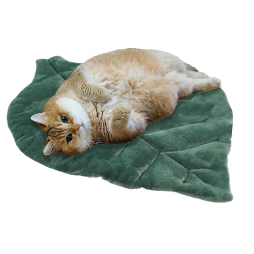 Huayeex Flaches Katzenbett – warme Baumwoll-Katzenmatte | waschbare, rutschfeste, Haustierzubehör für Welpen, Kätzchen, Schlafboden, Innen- und Außenbereich, Kiste, Autositz-Tragetasche Huayeex Flaches Katzenbett – warme Baumwoll-Katzenmatte | waschbare, rutschfeste, Haustierzubehör für Welpen, Kätzchen, Schlafboden, Innen- und Außenbereich, Kiste, Autositz-Tragetasche von Huayeex