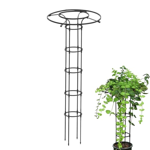 Huayeex Garten Rankgitter Für Kletterpflanzen - Vertikale Blumenstütze - Vertikales Gartendesign Mit Metall Rankturm Für Blumen Und Kletterpflanzen Huayeex Garten Rankgitter Für Kletterpflanzen - Vertikale Blumenstütze - Vertikales Gartendesign Mit Metall Rankturm Für Blumen Und Kletterpflanzen von Huayeex