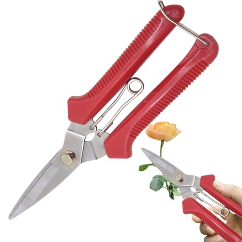 Huayeex Gartenschere Für Gartenarbeit,Robuste Strauchschere | Gartenschere Mit Rutschfestem Griff, Präzisionsschnitt Rostfrei Zum Schneiden, Pflegen Und Ernten Huayeex Gartenschere Für Gartenarbeit,Robuste Strauchschere | Gartenschere Mit Rutschfestem Griff, Präzisionsschnitt Rostfrei Zum Schneiden, Pflegen Und Ernten von Huayeex