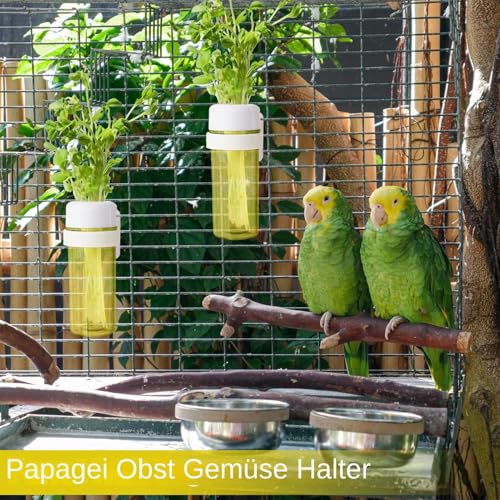 Huayeex Gemüsefutterhalter | Futterspender Im Käfig Mit Wasserspeicher-Design | Vogel Futterbehälter Für Kakadus Finken Nymphensittiche Unzertrennliche Und Mehr Huayeex Gemüsefutterhalter | Futterspender Im Käfig Mit Wasserspeicher-Design | Vogel Futterbehälter Für Kakadus Finken Nymphensittiche Unzertrennliche Und Mehr von Huayeex
