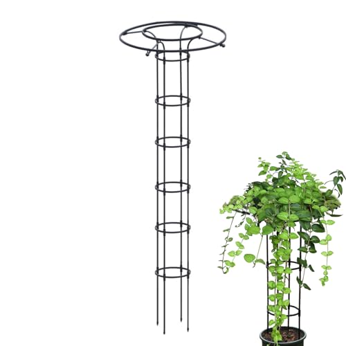 Huayeex Rankgitter Für Kletterpflanzen Im Freien - Vertikale Blumenstütze | Vertikales Gartendesign Mit Metall Rankturm Für Blumen Und Kletterpflanzen Huayeex Rankgitter Für Kletterpflanzen Im Freien - Vertikale Blumenstütze | Vertikales Gartendesign Mit Metall Rankturm Für Blumen Und Kletterpflanzen von Huayeex