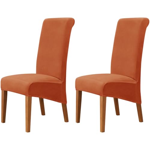 Hueborne 2 Stück Große Stuhlhussen Aus Samt for Esszimmerstühle, Hochelastische Stretch-Schonbezüge for Stühle Mit Hoher Rückenlehne, Schoner for Küche/Wohnzimmer(Orange) von Hueborne