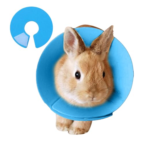 Huehkir Hamster Halskrause - Vogel Schutzhalskragen für Wellensittich | Verstellbarer Beißschutz Für Kleintiere Zur Haarausfall Vorbeugung Und Wundschutz von Huehkir