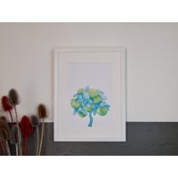 Linden | Aquarell Druck Illustration Druck Kunstdruck von HuftgoldDesigns