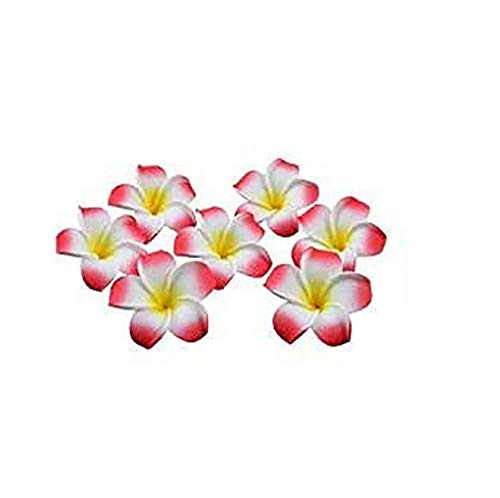 HugeStore 100er 6CM Plumeria Hawaiian Frangipani Schaumblüte für Hochzeit Party Dekoration Rot von HugeStore