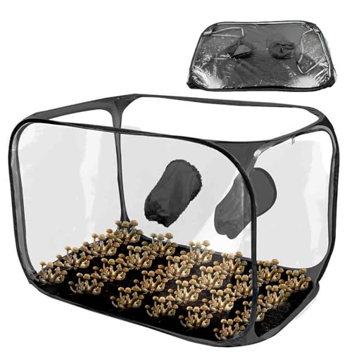 Hugsweet Stillluftbox für Pilze, Anzuchtstationen Growzelt-Set,Pop-Up-Pilz-Wachstumszelt-Set Kompakte Standluftbox Pilzzucht für Pilzliebhaber Hugsweet Stillluftbox für Pilze, Anzuchtstationen Growzelt-Set,Pop-Up-Pilz-Wachstumszelt-Set Kompakte Standluftbox Pilzzucht für Pilzliebhaber von Hugsweet