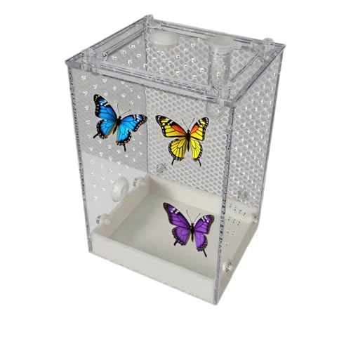 Vogelspinne Terrarium | Transparentes Insektenheim Für Gottesanbeterinnen | Abnehmbares Innenterrarium für Spinnen Gottesanbeterinnen Skorpione Grillen in Bildungsumgebung für alle von Hugsweet