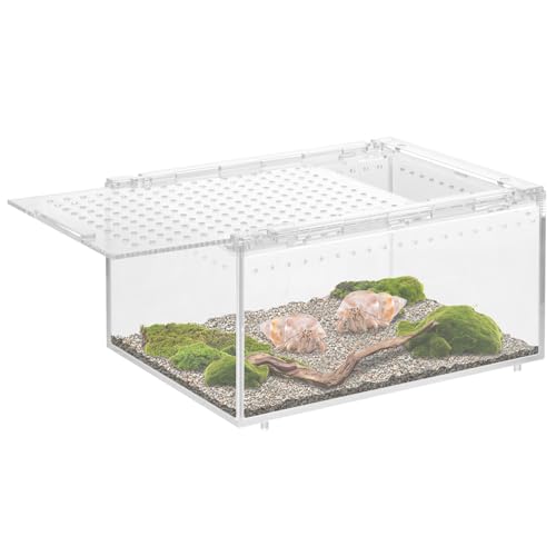 Reptilien Terrarium Box,360° Mini Transparente PC Transportbox ,Tragbarer Reptil Fütterungsbox,Magnetisches Insekten Futterbox,Aufzuchtbox für Spinnen,Skorpion,Käfer, Gehörnter Frosch Einsiedlerkrabbe von HuhWafee