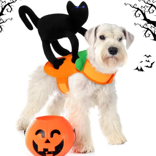 Huhumy Halloween-Kostüm für kleine Hunde und Katzen, Halloweenanzug mit schwarzer Katze, lustige Haustierkleidung für Welpen, Cosplay, Urlaub, Party, Verkleidungszubehör Huhumy Halloween-Kostüm für kleine Hunde und Katzen, Halloweenanzug mit schwarzer Katze, lustige Haustierkleidung für Welpen, Cosplay, Urlaub, Party, Verkleidungszubehör von Huhumy