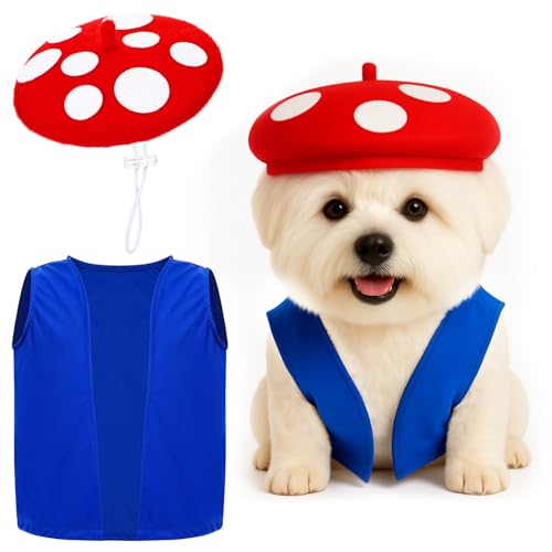 Huhumy Halloween-Pilz-Kostüm-Set, gepunkteter Pilzhut und blaue Weste, lustige Cosplay-Outfits für Halloween-Cosplay-Kostüme Huhumy Halloween-Pilz-Kostüm-Set, gepunkteter Pilzhut und blaue Weste, lustige Cosplay-Outfits für Halloween-Cosplay-Kostüme von Huhumy