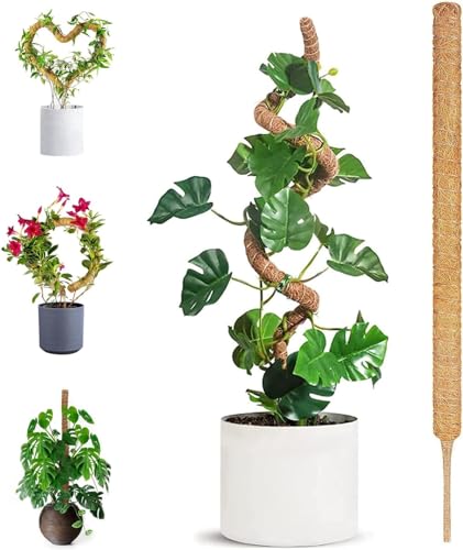 HuiPoLii 1 Stück 70cm Kokosfaser Monstera Rankhilfe,Biegbare Monstera Rankhilfe,DIY-Form,Verwenden Sie Rankhilfe Zimmerpflanzen,Rankhilfe,Moosstab HuiPoLii 1 Stück 70cm Kokosfaser Monstera Rankhilfe,Biegbare Monstera Rankhilfe,DIY-Form,Verwenden Sie Rankhilfe Zimmerpflanzen,Rankhilfe,Moosstab von HuiPoLii