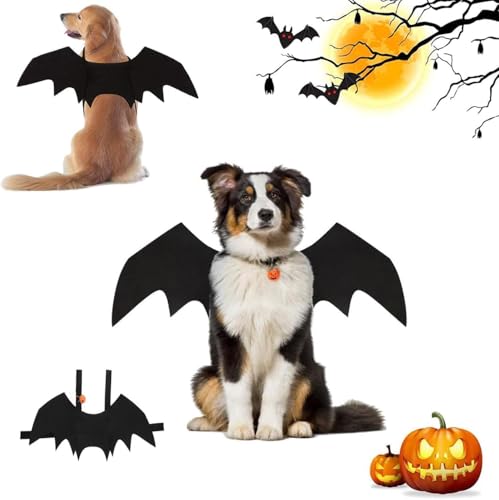 Fledermausflügel Katze,Halloween Katze Fledermaus Kostüm Flügel mit Kürbisglocke, Haustier Fledermaus Niedlich Halloween Kostüm für Haustiere Cosplay für Mittleren Hund für Partys (M) von Huifengjie