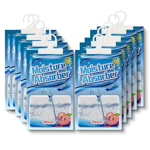 Kleiderschrank Feuchtigkeitsabsorber 10 Pack x 100g,Hänge Luftentfeuchter mit Duft, Moistureproof Desiccant Bag,Hängender Entfeuchtungsbeutel,Waschräume,Luftentfeuchter Granulat für Bad/Schrank/Auto von Huifengjie