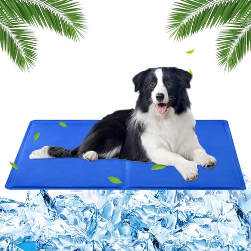 Huifengjie Kühlmatte Hund 65 x 50cm - Kühlmatte für Hunde & Katzen, Kühlmittel Hund, Kühldecke für Hunde, Selbstkühlend, Blau von Huifengjie