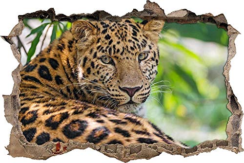 3D Wandtattoo Mauerloch Wandsticker Wandaufkleber Durchbruch selbstklebend Schlafzimmer Wohnzimmer Kinderzimmer,aufmerksamer Leopard im Schatten,Größe: 50x75cm von Huin