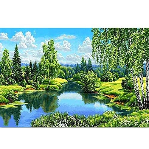 DIY 5D Diamond Painting Full drill Kit Große Waldlandschaft Diamant Gemälde Erwachsene Crystal Strass Stickerei Kreuzstich Mosaik Leinwand Handwerk für Home Wall Decor Round_Drill_25x35cm von Huiyaro