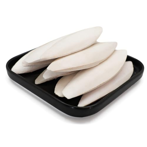 Humdcdy Cuttlebone für Schnecken, 10 Stück Aquarium Schildkröte Cuttlebone Haustierbedarf Kuschelknochen Spielzeug für Schildkröten Vögel Hamster Schnecken von Humdcdy