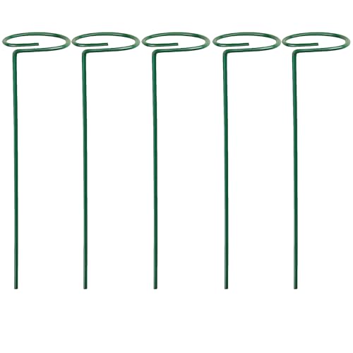 20 STÜCK Pflanzenstütze mit Blumenring 60 cm hoch - Ring Ø6,5 cm - aus 4mm kunststoffummantelten Draht - Grün Single Stem - Blumenstütze Buschstütze Blumenhalter Rankhilfe Pflanzenring Zimmerpflanzen von Hummelladen