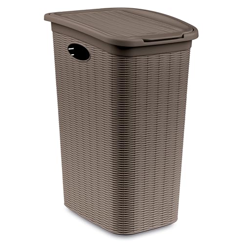 2x Wäschekorb 36 Liter schmal taupe - Rattanoptik mit Deckel - Wäschesammler mit Löcher 39x29x54cm Wäschebox Wäschesortierer Haushaltskorb Korb Haushalt Kunststoff Wäschetruhe Wäschetonne Wäschesack 2x Wäschekorb 36 Liter schmal taupe - Rattanoptik mit Deckel - Wäschesammler mit Löcher 39x29x54cm Wäschebox Wäschesortierer Haushaltskorb Korb Haushalt Kunststoff Wäschetruhe Wäschetonne Wäschesack von Hummelladen