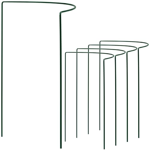 Hummelladen 5 STÜCK Pflanzenstütze halbrund - Ø 38 cm - 60 cm hoch aus 4mm kunststoffummantelten Draht - Für den Garten - Metall - Buschstütze - Staudenstütze - Pflanzbogen Staudenhalter Rankhilfe Hummelladen 5 STÜCK Pflanzenstütze halbrund - Ø 38 cm - 60 cm hoch aus 4mm kunststoffummantelten Draht - Für den Garten - Metall - Buschstütze - Staudenstütze - Pflanzbogen Staudenhalter Rankhilfe von Hummelladen
