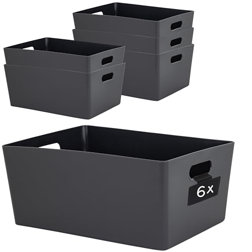 6 x Ordnungsbox mit Beschriftungsclip anthrazit DINA4 - 26x35x15 cm 11,5 Liter - Ordnungskorb Ordnungssystem Regalorganizer Wandregal Organizerbox Kunststoff Aufbewahrung Schubladenorganizer von Hummelladen