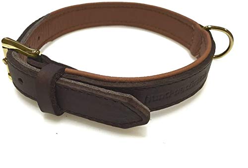 Lederhalsband für Hunde, Fettleder Hundehalsband gepolstert, Echtleder, braun Messing Gr. 50 von Hund natürlich