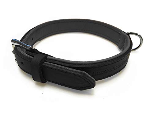 Lederhalsband für Hunde, Fettleder Hundehalsband gepolstert, Echtleder, schwarz Chrom Gr. 50 von Hund natürlich