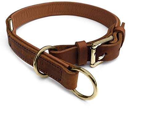 Zugstopp Lederhalsband für Hunde Schlupfhalsband Cognac, Messing Gr. 60 von Hund natürlich