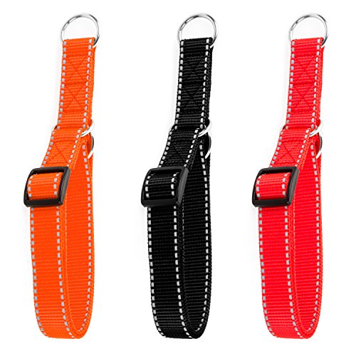 Hunde Design Reflektor Dressurhalsband mit Stoppring Rot 34-54cm / 20mm von Hunde Design