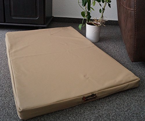 Hundebettenmanufaktur Hundematratze Hundebett Kunstleder Schaumstoff 5 cm Verschiedene Größen und Farben wählbar (60 cm X 40 cm, beige) von Hundebettenmanufaktur