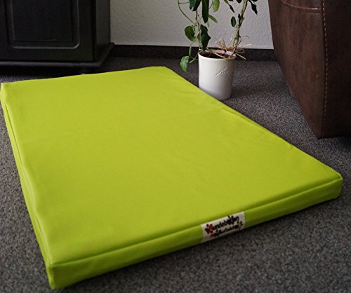 Hundebettenmanufaktur Orthopädische Hundematratze mit antiallergischer Kokosmatte Hundebett Kunstleder Größe und Farbe wählbar (60 cm X 40 cm, Limone) von Hundebettenmanufaktur