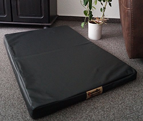 Hundebettenmanufaktur Orthopädische Hundematratze mit antiallergischer Kokosmatte Hundebett Kunstleder Größe und Farbe wählbar (60 cm X 40 cm, schwarz) von Hundebettenmanufaktur