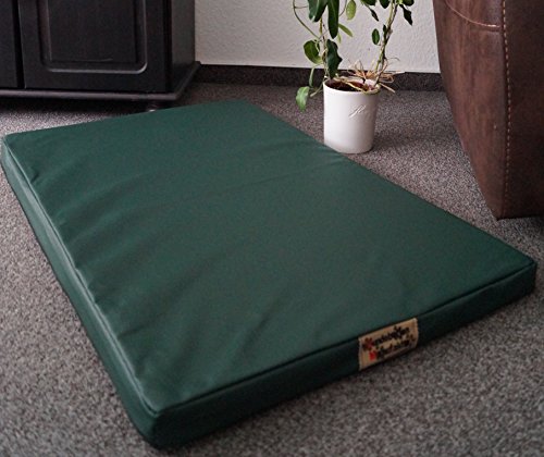 Hundebettenmanufaktur Orthopädische Hundematratze mit antiallergischer Kokosmatte Hundebett Kunstleder Größe und Farbe wählbar (90 cm X 60 cm, grün) von Hundebettenmanufaktur