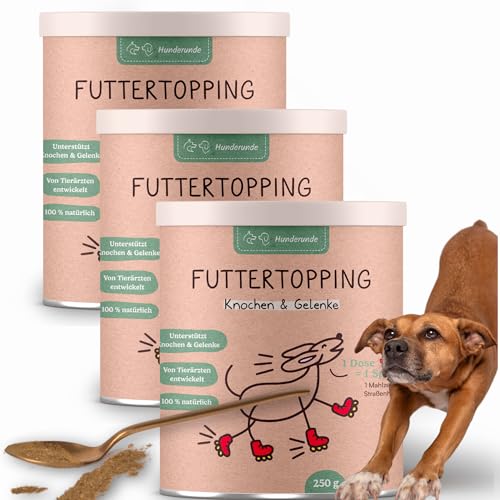 Hunderunde – Futtertopping Knochen & Gelenke 3x250g – Beweglichkeit & Starke Knochen I Bierhefe MSM Hagebutte Omega?3?Alge Curcuma Rote?Beete Algenkalk Hyaluronsäure von Hunderunde
