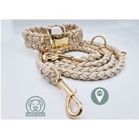 Hundeleine Und Halsband Set - Mit Versteckter Apple Airtag Halterung | Gps-Tracker [Beige & Gold] von HundumSicher